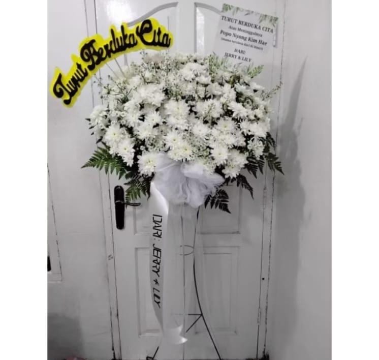 IMG 20250205 WA0383